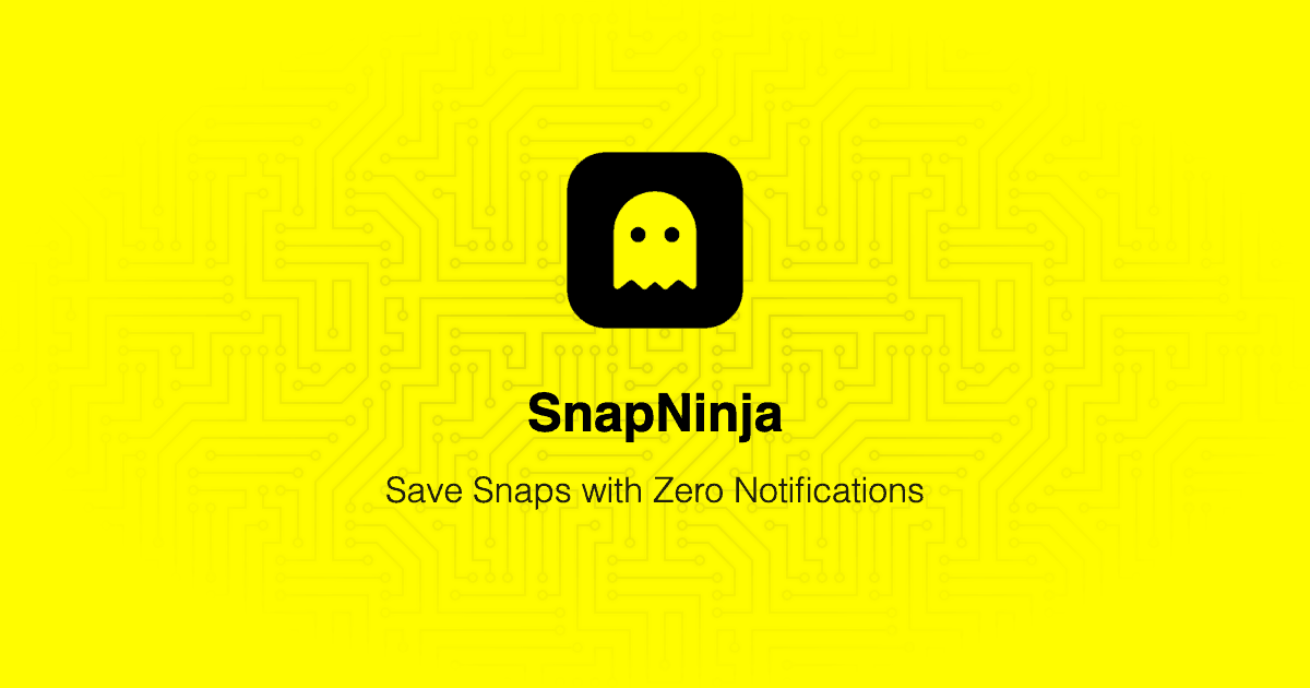 Snapchat Story Downloader by SnapNinja